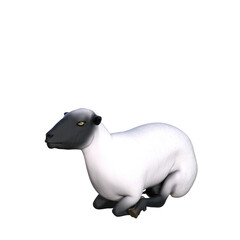 Sheep 3d Illustrations
