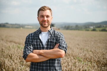 Naklejka na ściany i meble Farmer Standing In Wheat Field At Harvest.