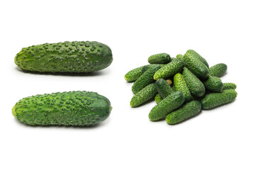 Fresh green cucomber isolated on white background.
