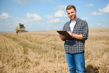 Naklejka na ściany i meble Farmer In Wheat Field Inspecting Crop. Farmer in wheat field with harvester