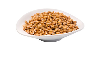 Wheat sprouts in bowl,