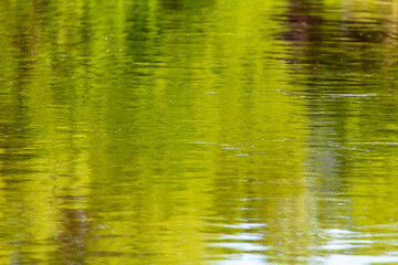 The green expanse of water on the reservoir as an abstract background.