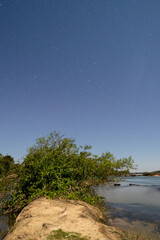 Obraz premium night photography of trees, river beach and sky