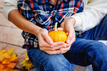 A small orange pumpkin in children's and women's hands
