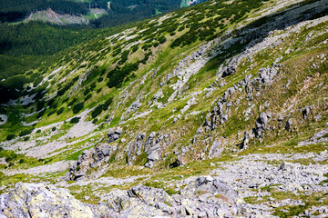 A view of the beautiful surrounding alpine nature from the Chopok ridge in the Low Tatras, Slovakia