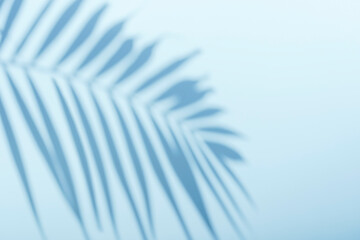 Palm shadow on an empty blue wall. Tropical sunny background for presentation of beauty products, spa, cosmetics. Overlay effect.