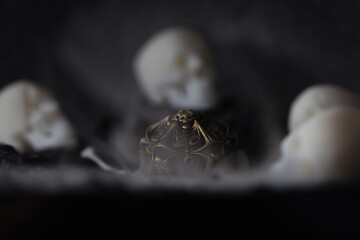Dungeons and Dragons Dice - Metal D20 Necromancer dice  in a cemetery, creepy fog with skulls for...