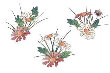 Vector set of illustration of composition with daisy flowers and leaves. Simple floral composition and elements for card design, decoration of pattern, cover, label, floral shop. Wildflowers.