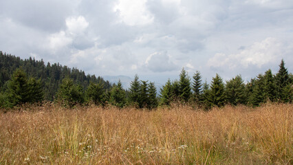 Romanian countryside