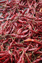 Fototapeta premium red chili pepper white background .