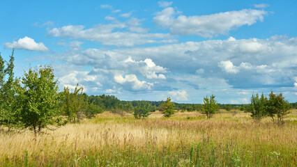 Fototapeta na wymiar Scenic landscape with blue sky and clouds over the summer meadow.