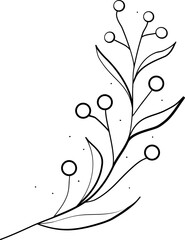 floral flower plant lineart,doodle for invitation card