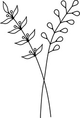 floral flower plant lineart,doodle for invitation card