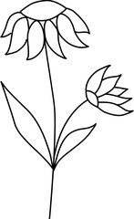 floral flower plant lineart,doodle for invitation card