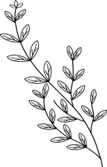 floral flower plant lineart,doodle for invitation card