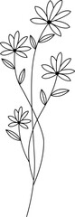 floral flower plant lineart,doodle for invitation card