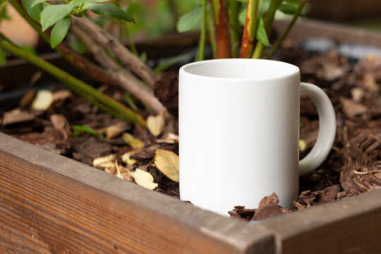 White mug in the garden.