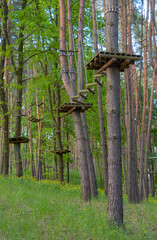 a rope park in the middle of a pine forest, ropes stretch high between trees with fixed wooden bars of various designs in the photo, a beautiful green forest in the summer warm season