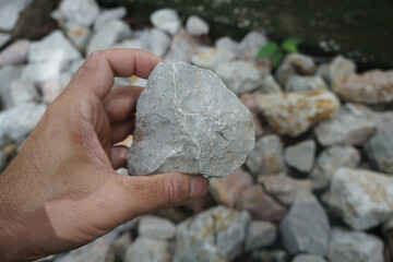 The hand is holding a raw gray limestone carbonate sedimentary rock.  A stone is used in the construction of houses, roads, buildings, or bridges.