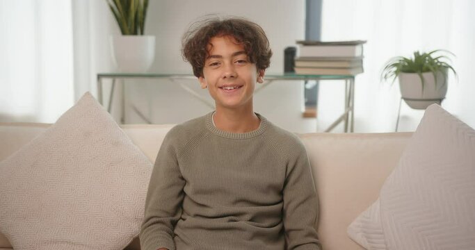 Teenager boy talks greeting classmate on video in living room