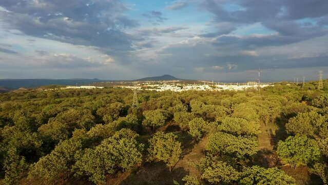 Bosque campo grande con nubes al horizonte con torres de alto voltaje casas nuevo complejo habitacional en latinoamerica sol cielo contrastado