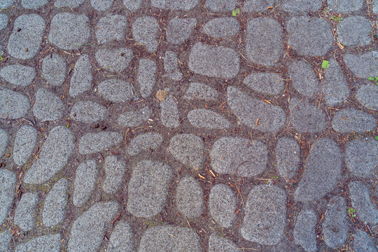 Path Made Of Natural River Stone Cobblestones Made Of Natural Stone Road Photo From Above Close-up Rounded Stones Next To Each Other Compacted Soil Between Them