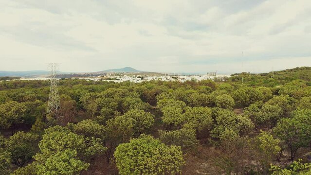 Bosque campo grande con nubes al horizonte con torres de alto voltaje casas nuevo complejo habitacional en latinoamerica