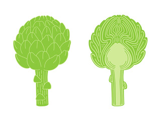 Artichoke and cut artichoke flat vector doodle illustration. Green vegetables healthy food clipart