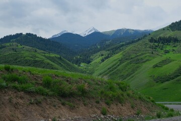 Naklejka premium Mountains