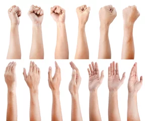 Fotobehang GROUP of Male asian hand gestures isolated over the white background. © aekkorn