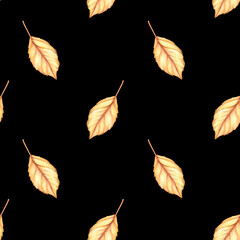 Autumn leaf seamless pattern. Watercolor vintage illustration. Isolated on a black background.