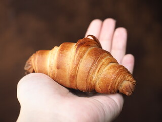 small homemade French butter croissant in palm of hand