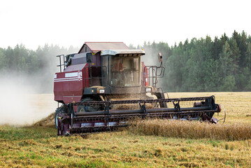 Fototapeta premium Combine harvester harvesting wheat in the field. Selective focus.