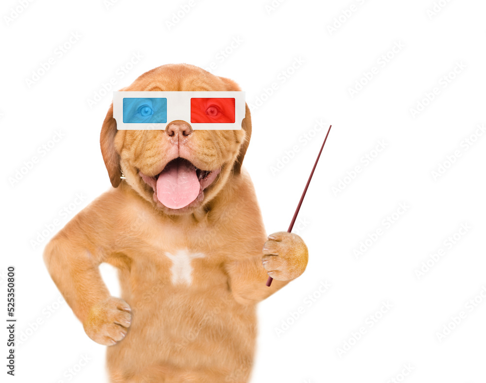 Poster happy puppy wearing 3d glasses points away on empty space. isolated on white background