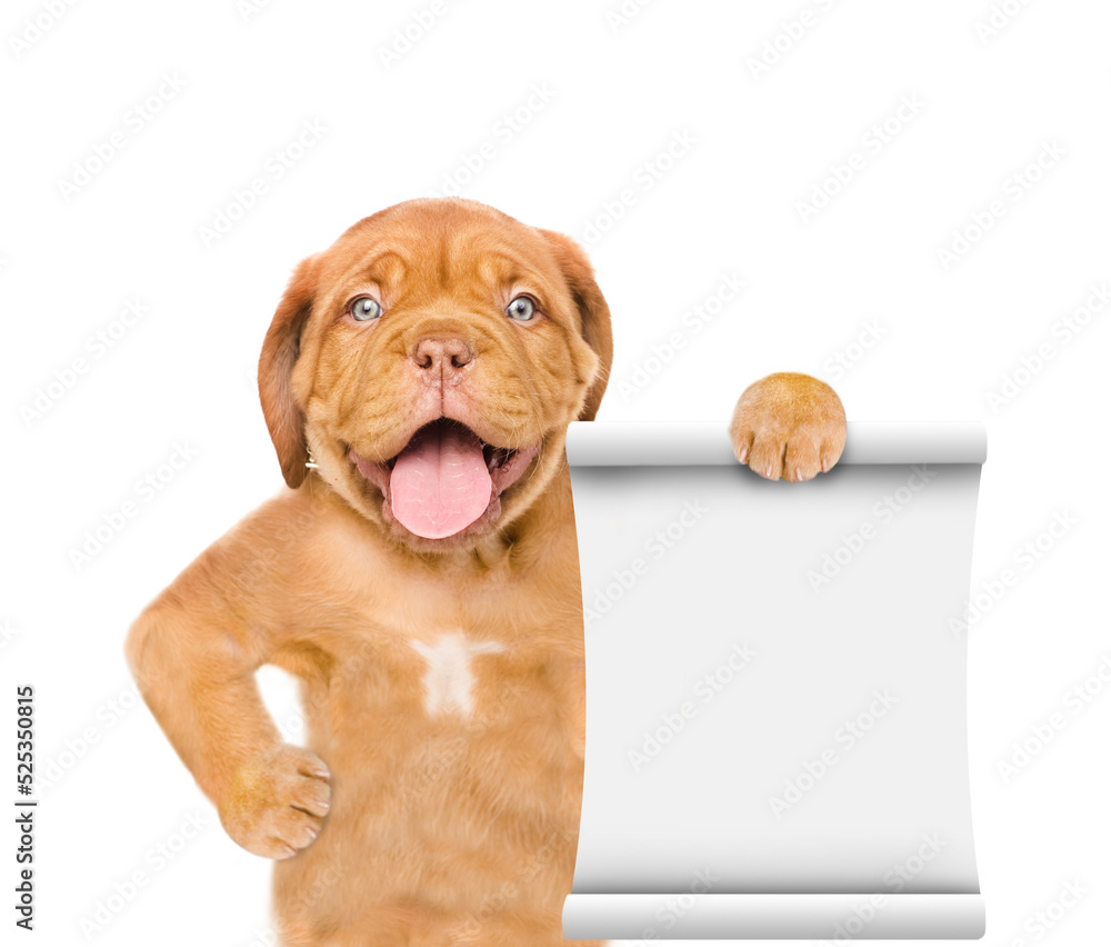 Fototapete smiling puppy with empty list. isolated on white background
