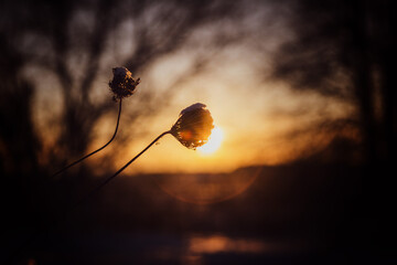 Zachód słońca © Coolmer