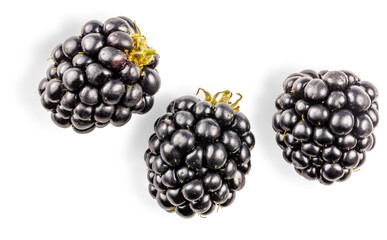 Blackberries berries, isolated on white backgrounds.