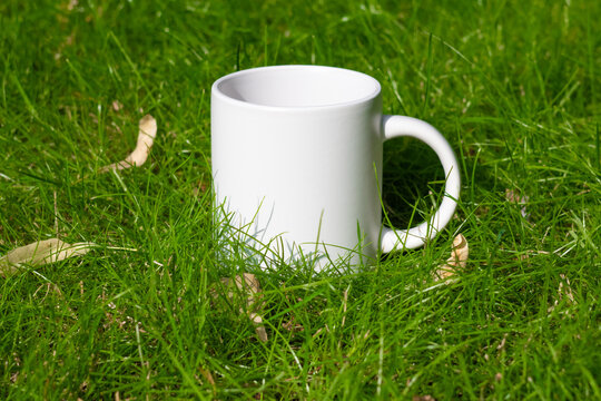 White mug on the lawn. Green grass on a sunny day