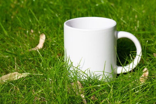 White mug on the lawn. Green grass on a sunny day