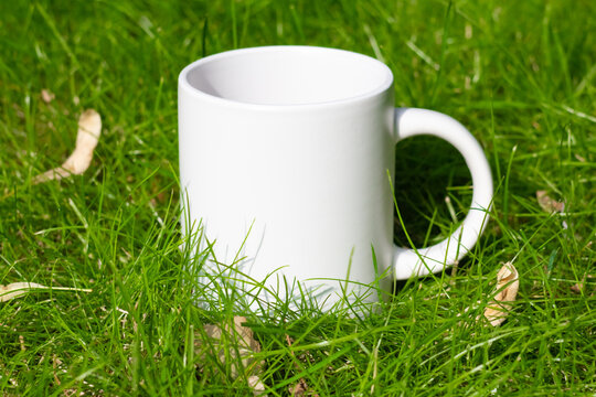 White mug on the lawn. Green grass on a sunny day