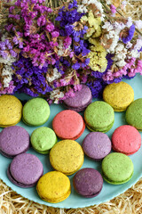 Colorful macaroons on blue plate, decarated with dry flowers, on decorative wood shavings...