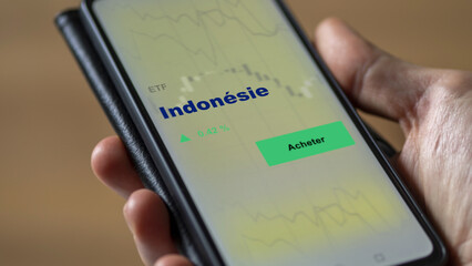 Investir dans un fonds etf indonésie INDONÉSIE sur un écran. Graphique, courbes, chandelles d'ETF.