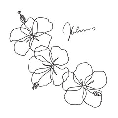 Beautiful hibiscus flower. Line art concept design. Continuous line drawing. Three blooming flowers. Vector illustration © prezent