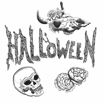 Helluin lettering. Pencil sketch. Mystical print. Illustration on a white background. Human skull, cow skull and flowers. Halloween set.