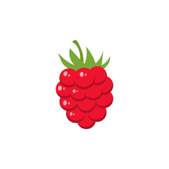 Vector image of raspberries on a white background