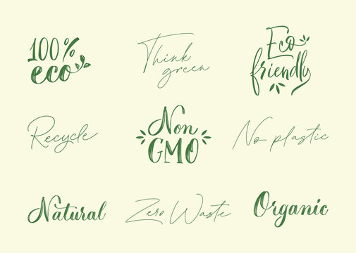 Zero Waste Set of handwritten lettering ecological lifestyle and sustainable development. Modern calligraphy inscription. Motivational quote for choosing eco friendly lifestyle. Vector illustration