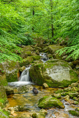 Naklejka na ściany i meble mountain creek cascades over boulders in forest long exposure