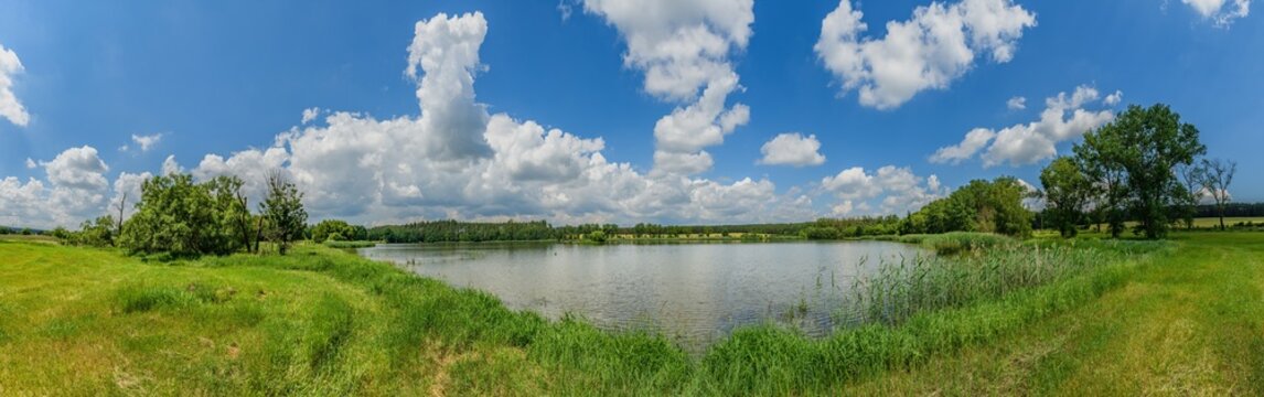 summer landscape with pond, reeds, trees, blue sky and clouds