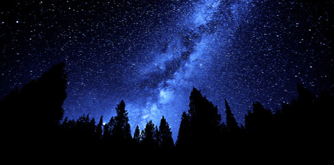Naklejka premium Milky Way Sky Forest at Night Time Stars