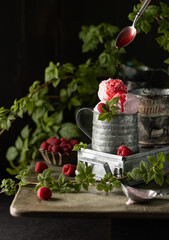 Close up of homemade vegan raspberry ice cream in a metal bucket with berries and natural branches of raspberry.Summer dessert.